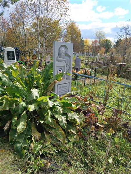 Пьянков Алексей Анатольевич