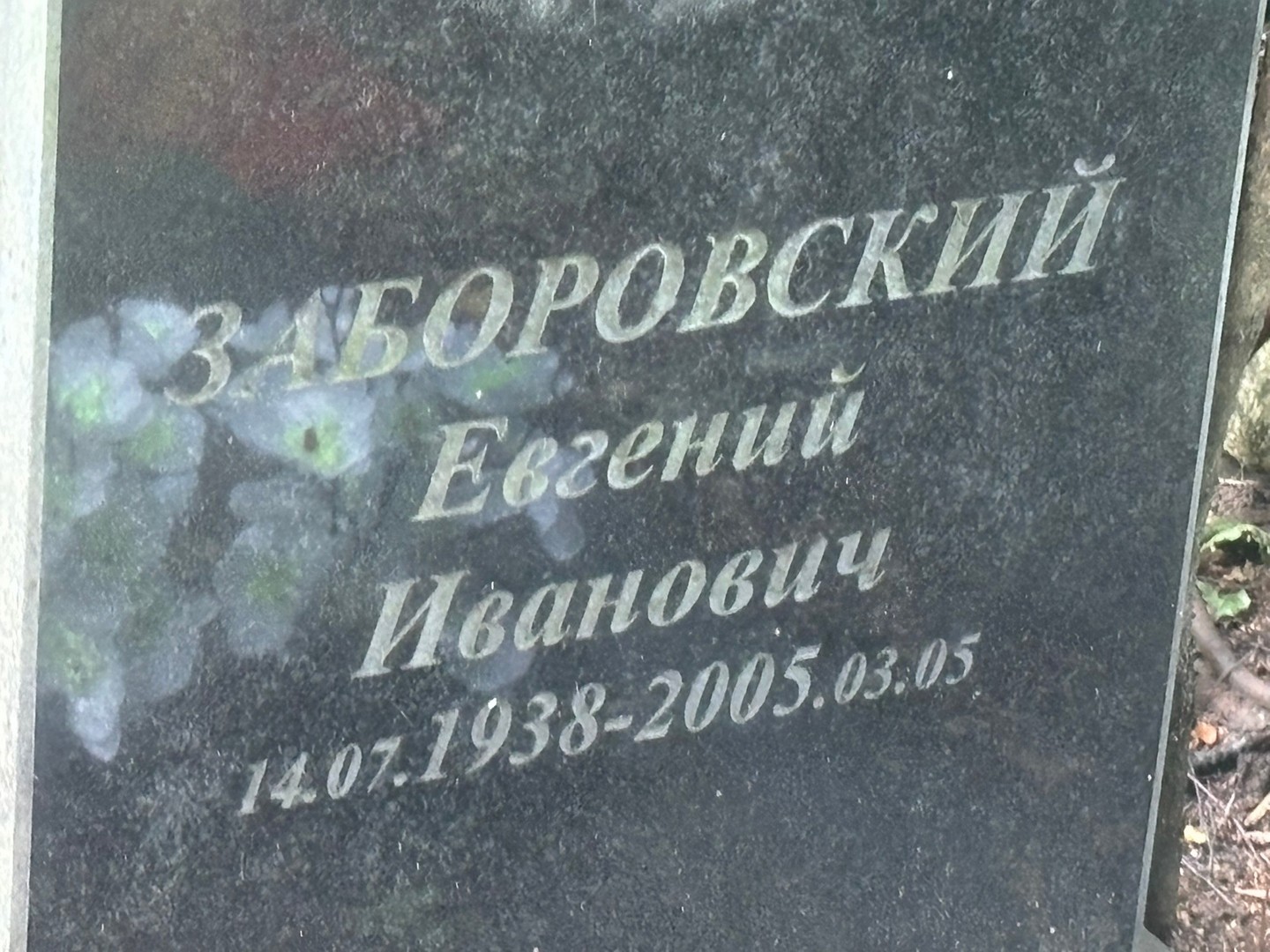 Заборовский