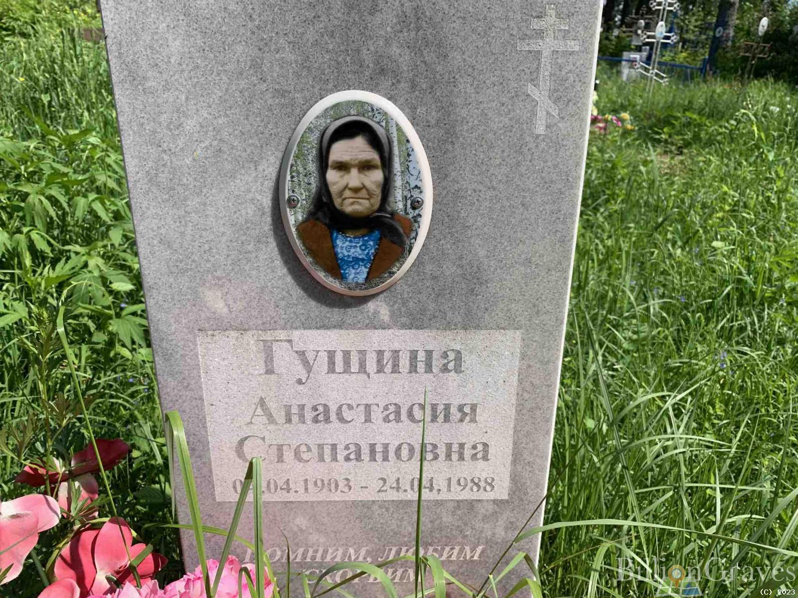 Гущина Анастасия Степановна
