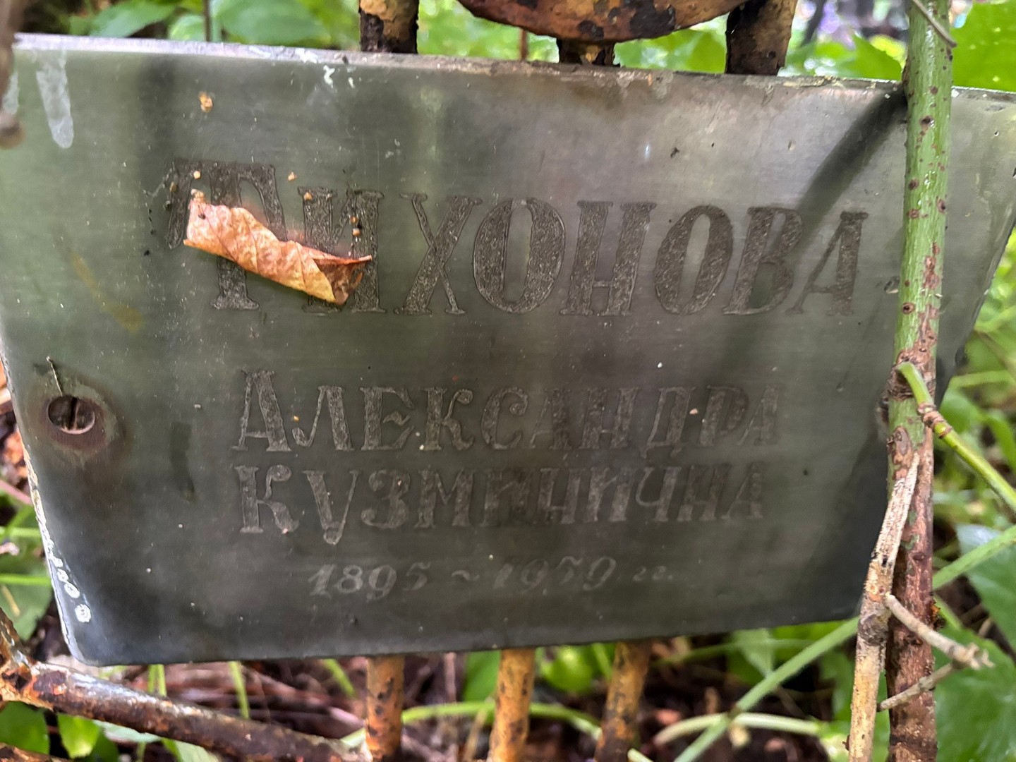 Тихонова Александра Кузьминична