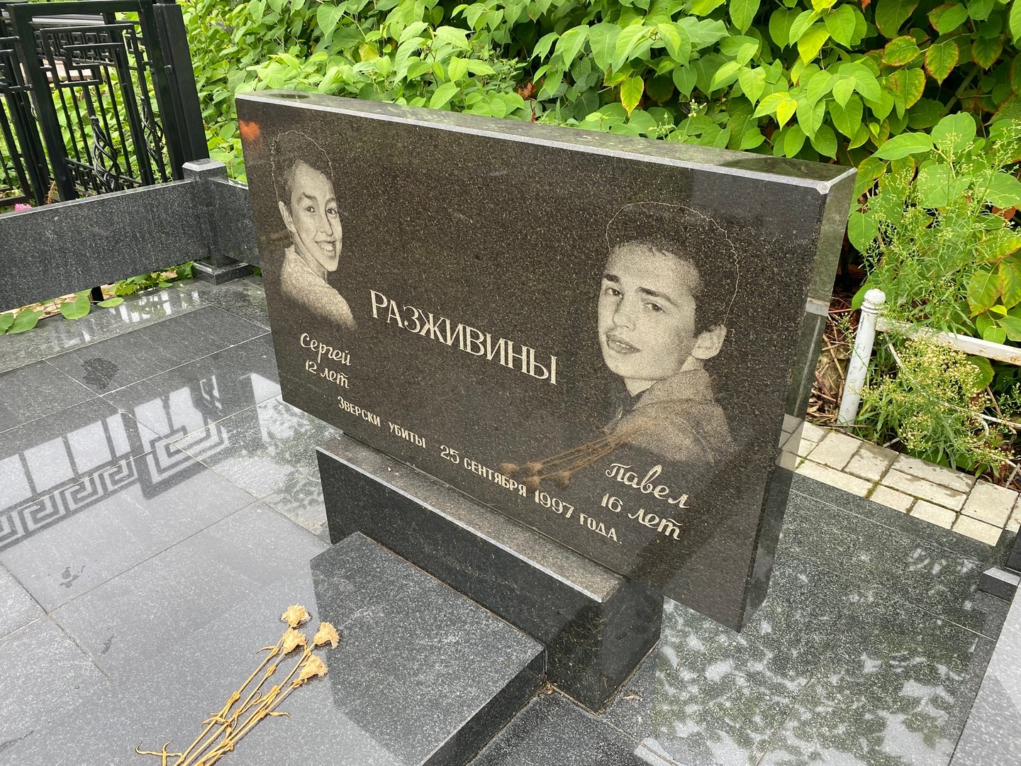 Разживин Разживин