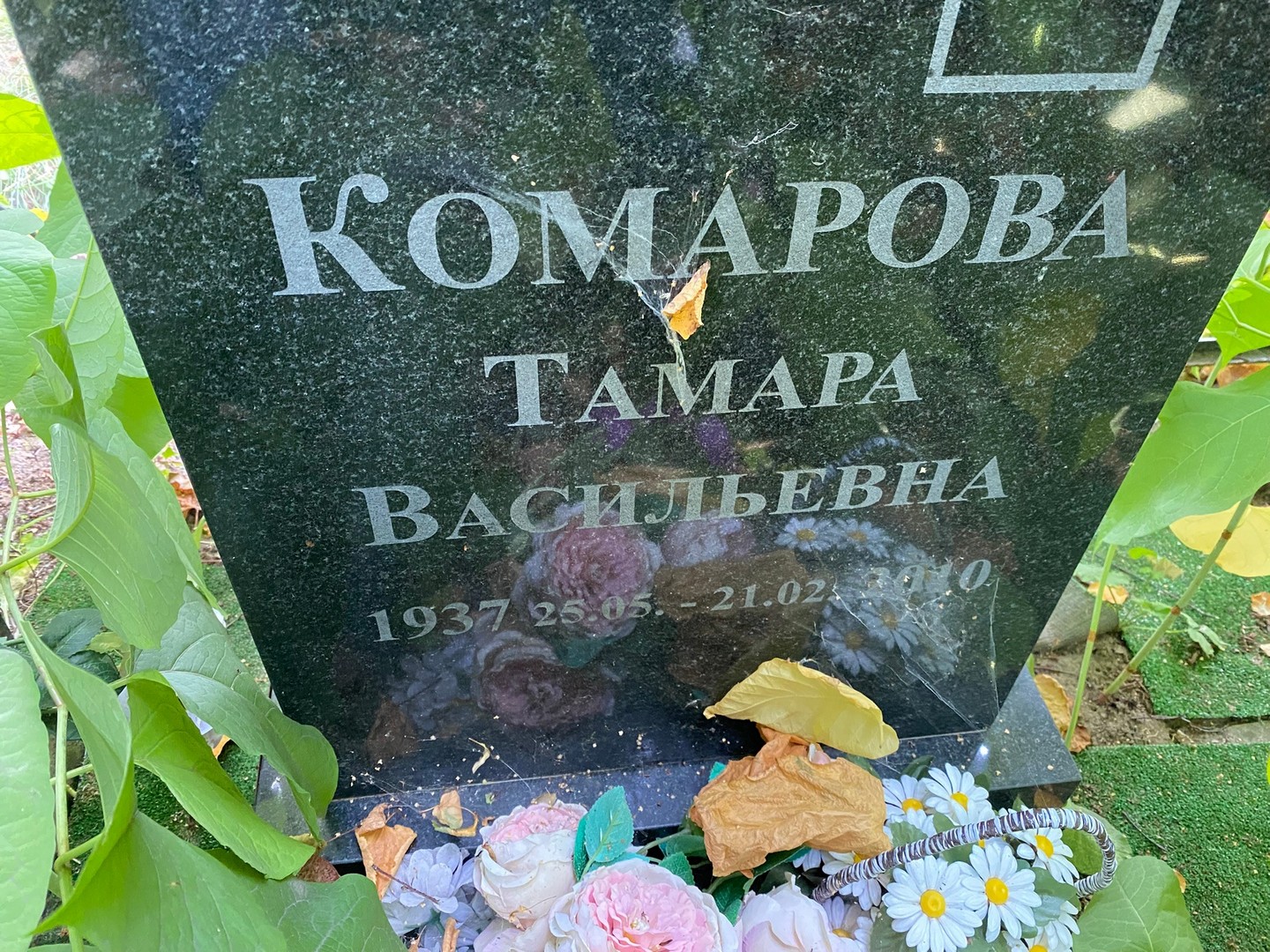 Комарова