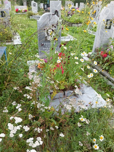 Гринина Елена Павловна