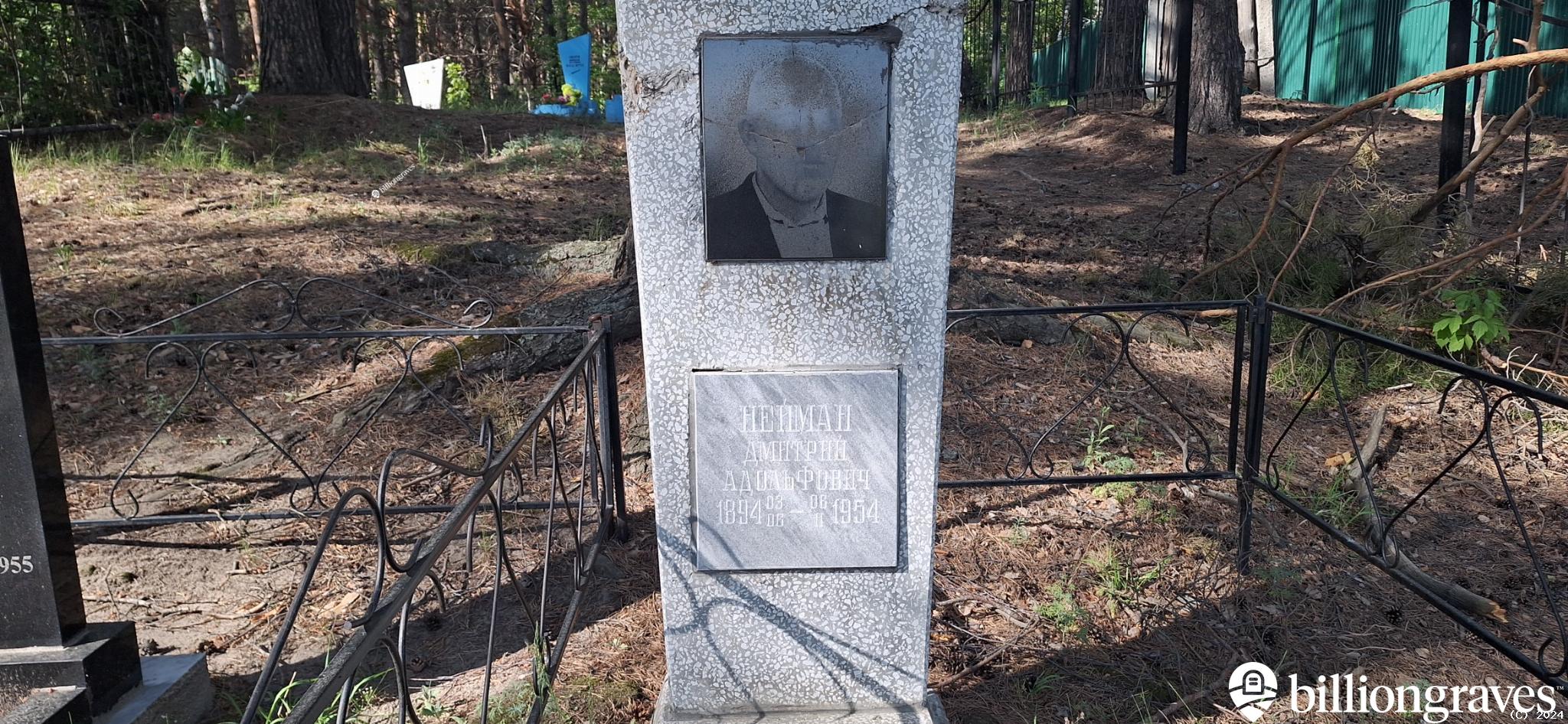 Нейман Дмитрий Адольфович