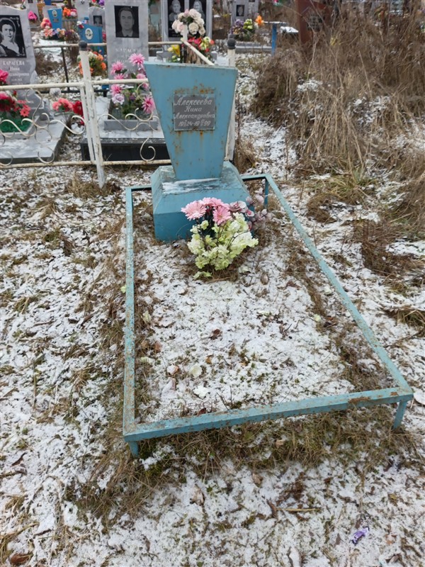 Алексеева Нина Александровна