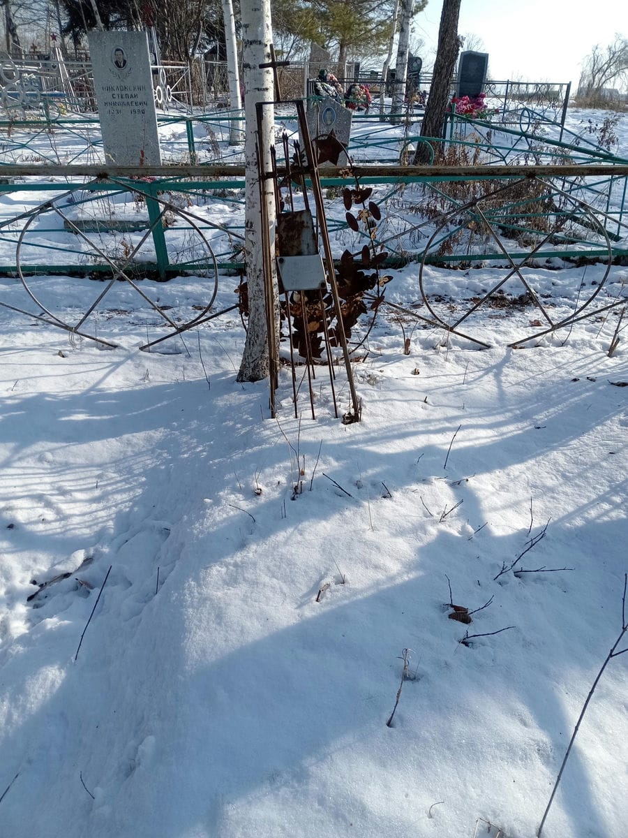 Дмитриевский Александр Радомирович