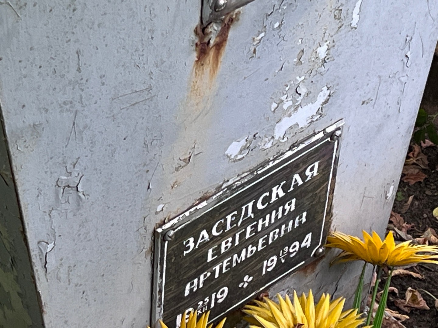 Заседская Евгения Артемьевна