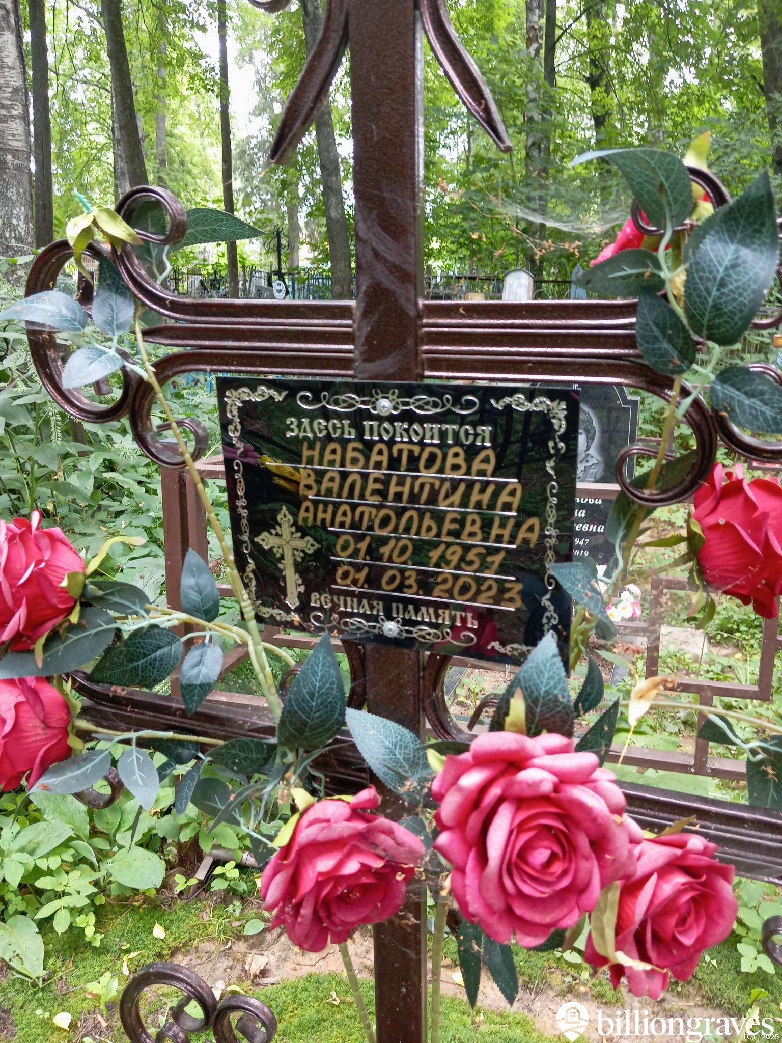 Набатова Валентина Анатольевна