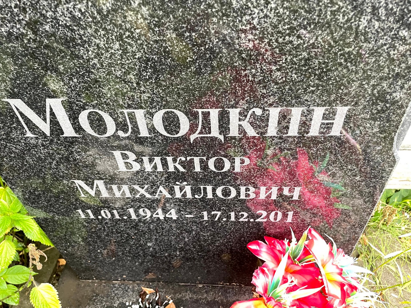 Молодкин