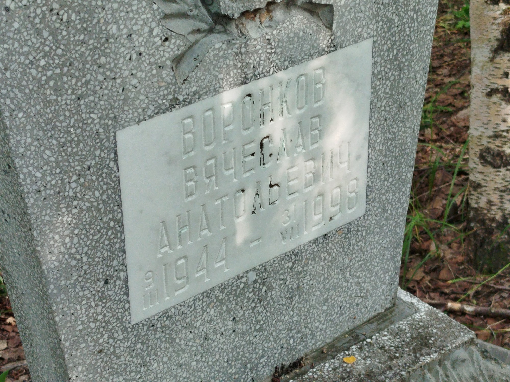 Воронков Вячеслав Анатольевич
