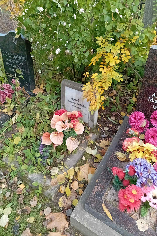 Жуков Александр Яковлевич