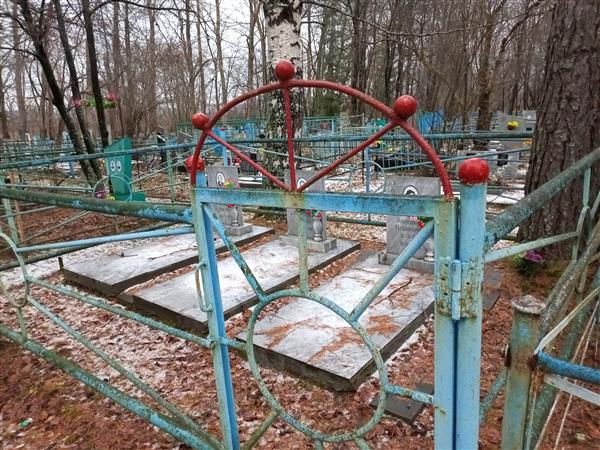 Брус Ангелина Ильинична
