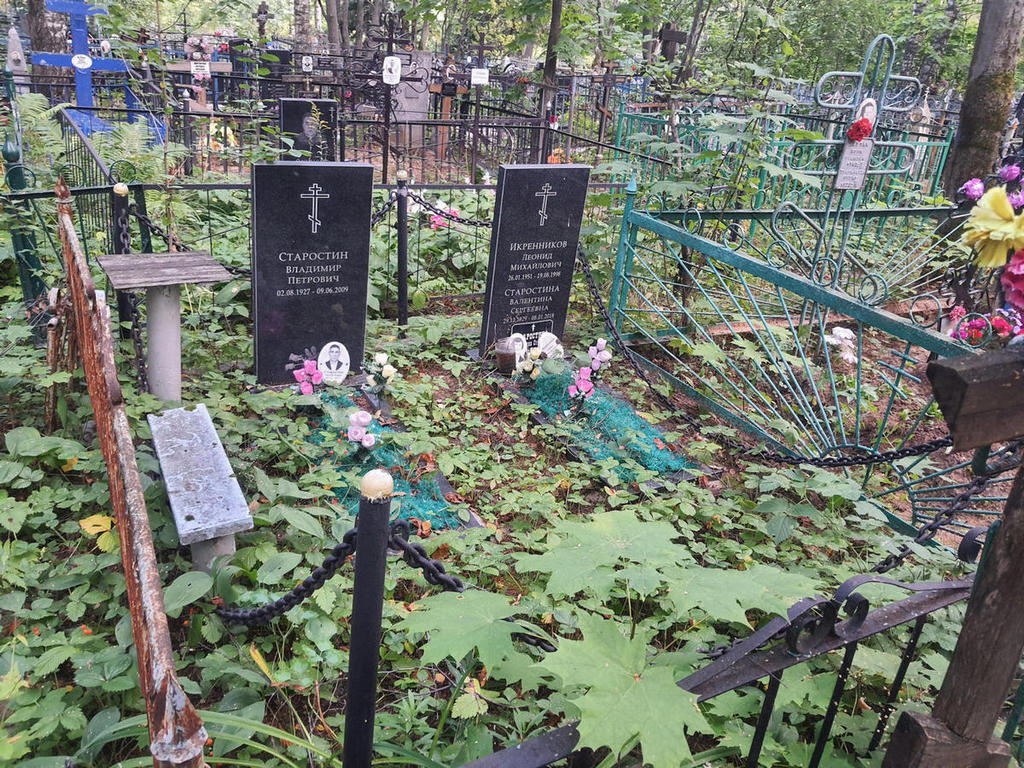 Старостин Владимир Петрович