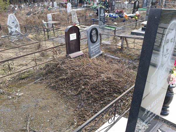 Березин Владимир Ильич