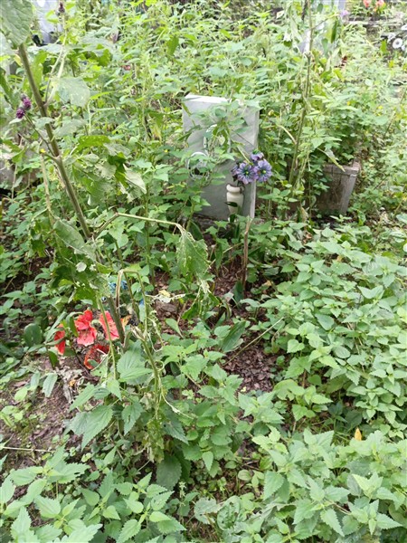 Кушкин Виктор Иванович
