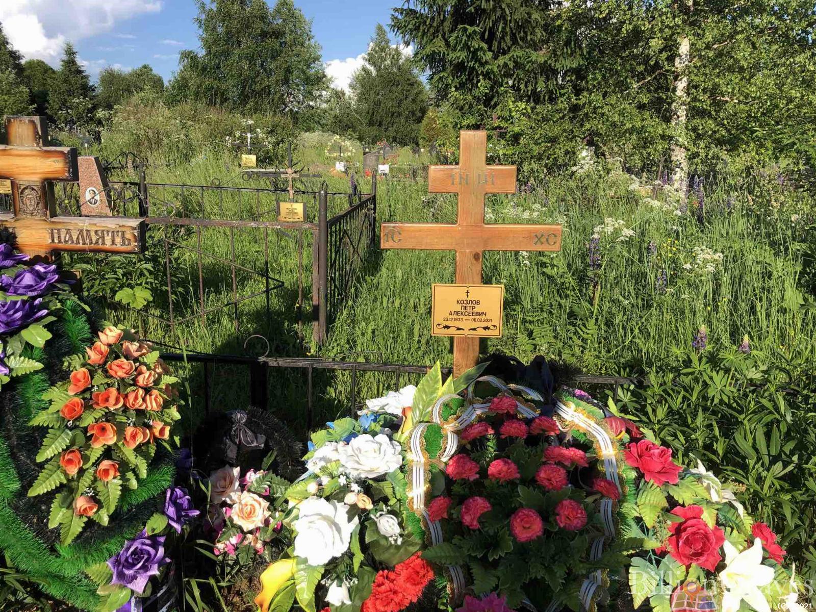 Козлов Петр Алексеевич