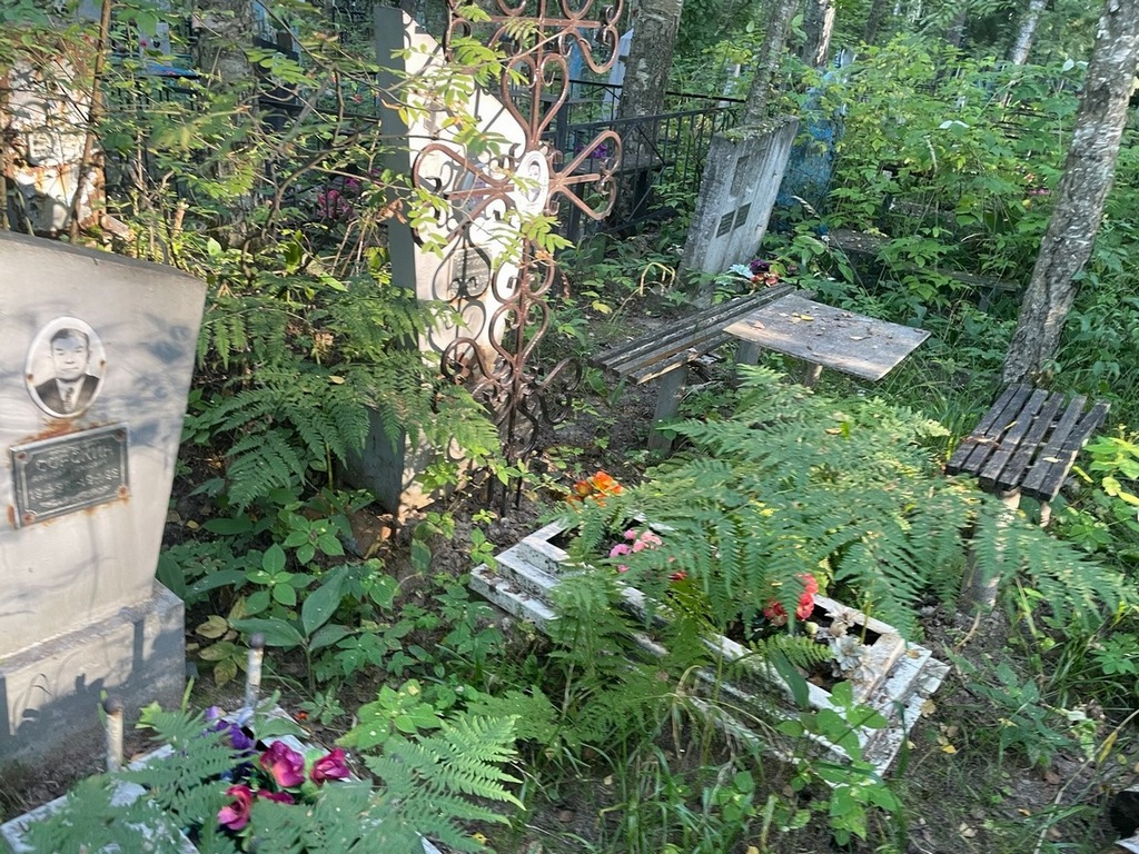 Сорокина Анна Васильевна
