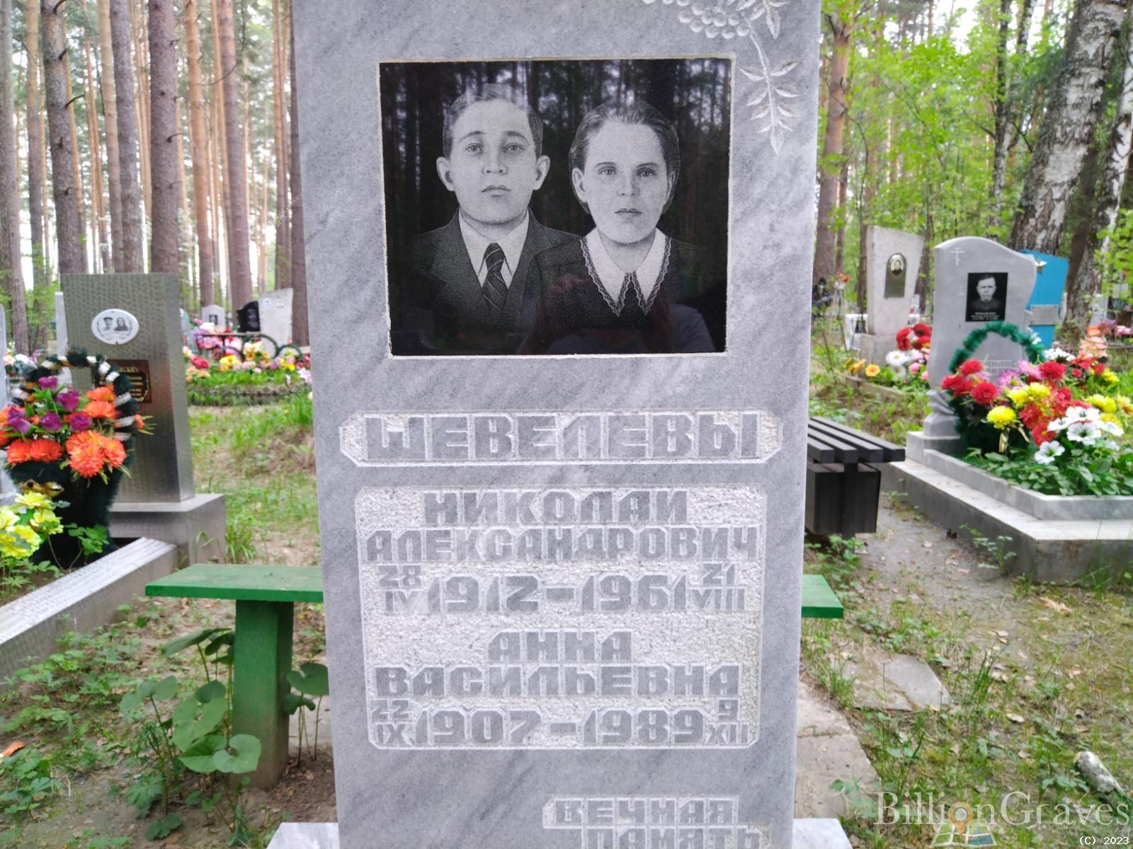Шевелева Анна Васильевна