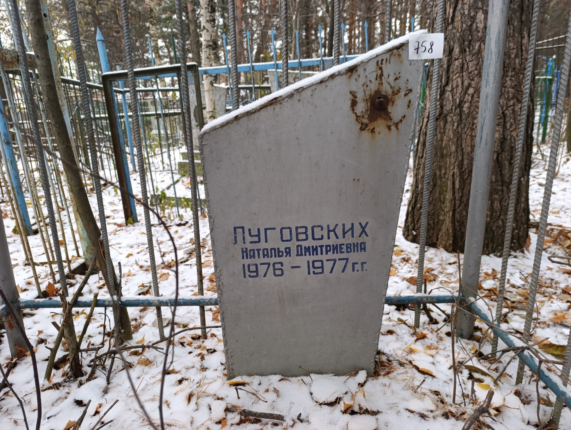 Луговских Наталья Дмитриевна