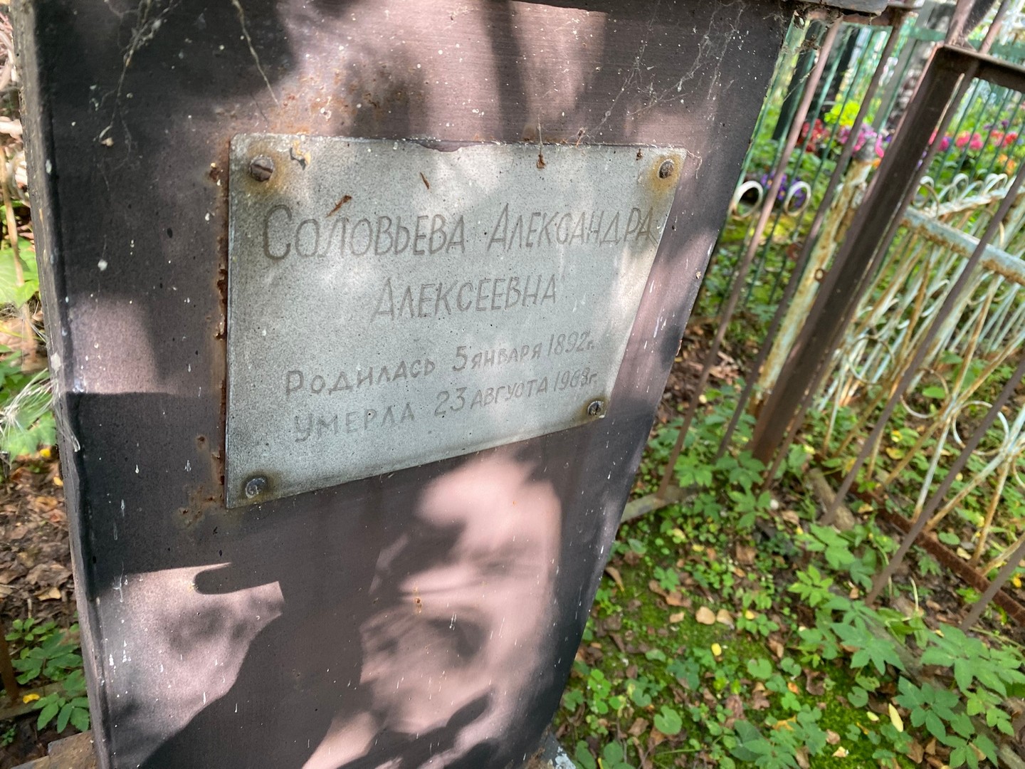 Соловьева Александра Алексеевна