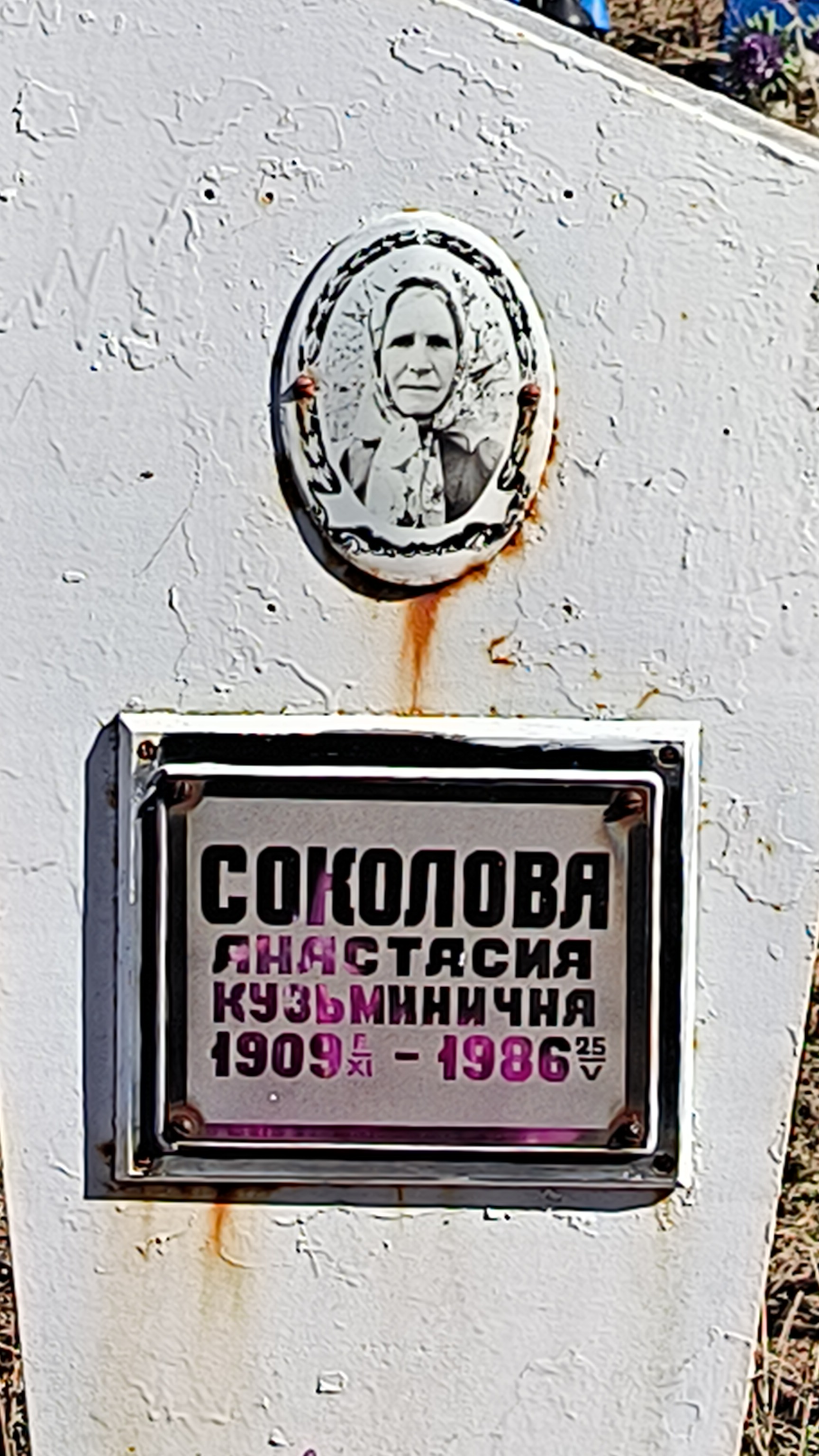 Соколова Анастасия Кузьминична