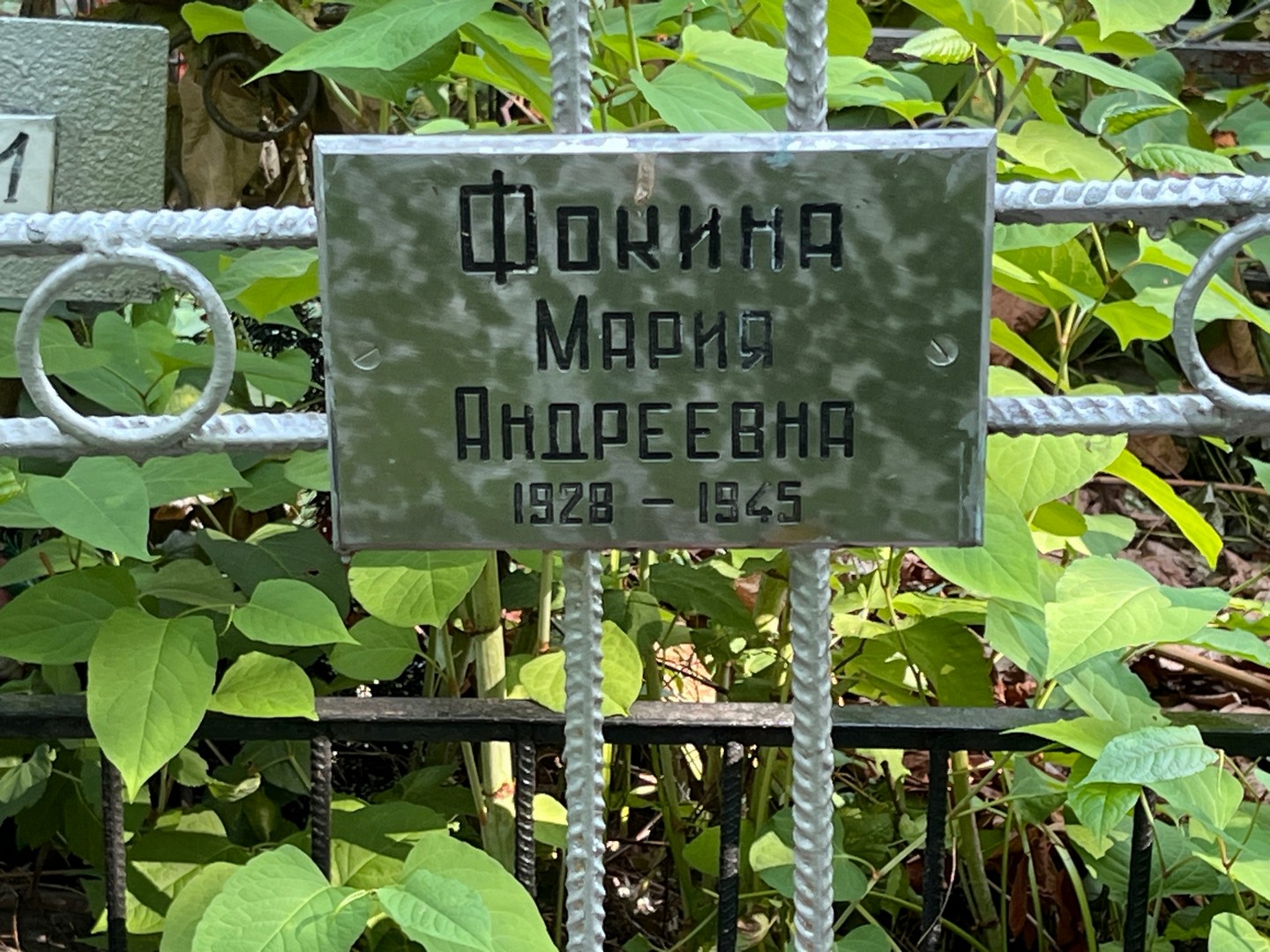 Фокина