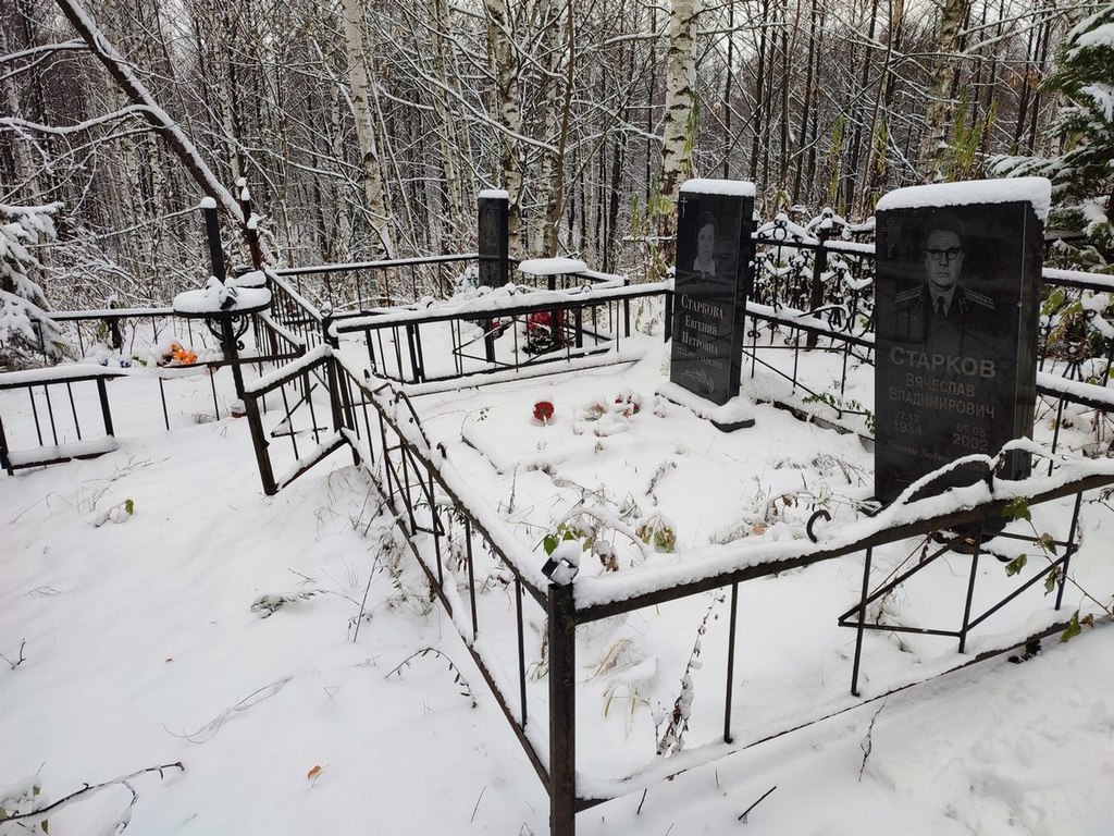 Старков Вячеслав Владимирович