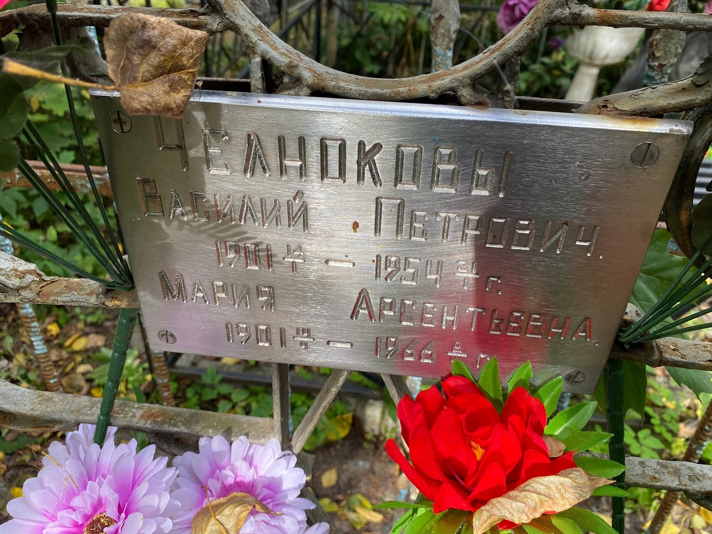 Челноков