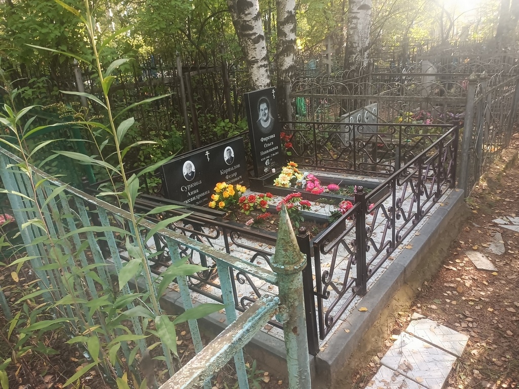 Суркова Анна Александровна