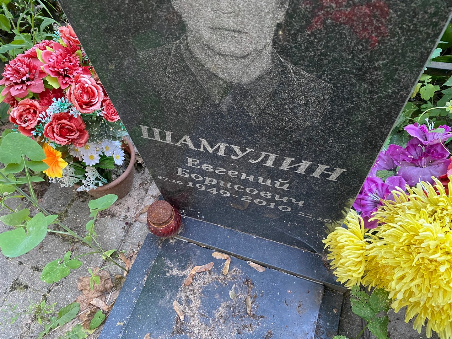 Шамулин