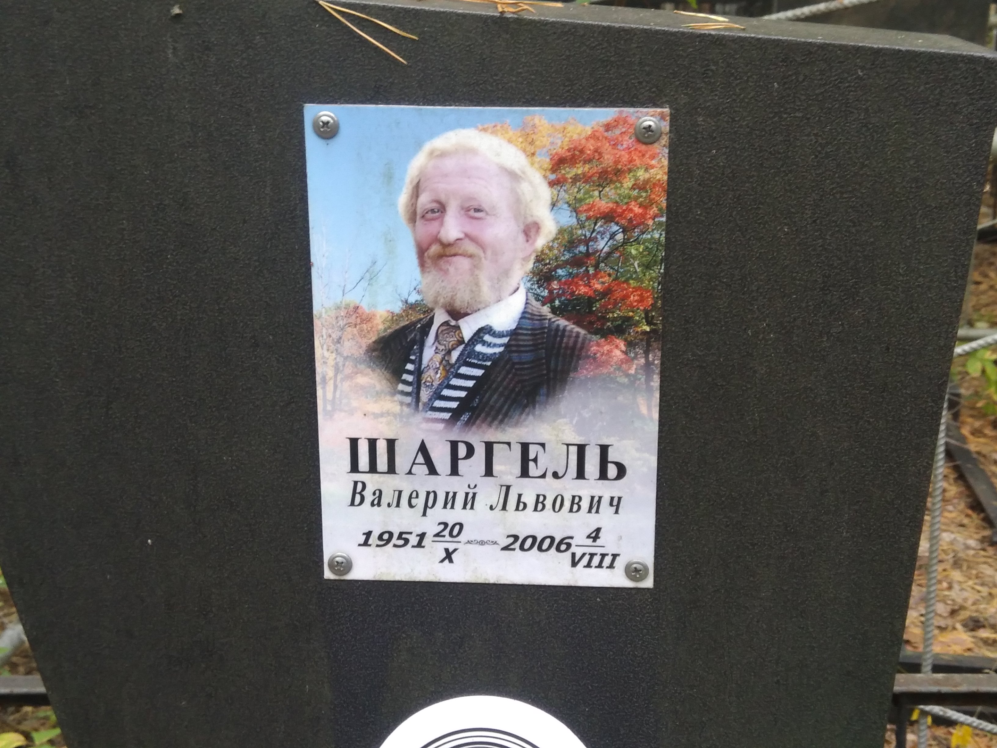 Шаргель Валерий Львович