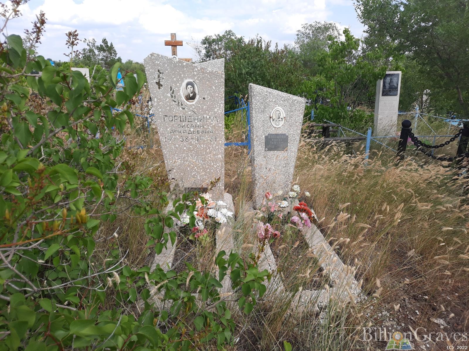 Кулешова Ксения Петровна