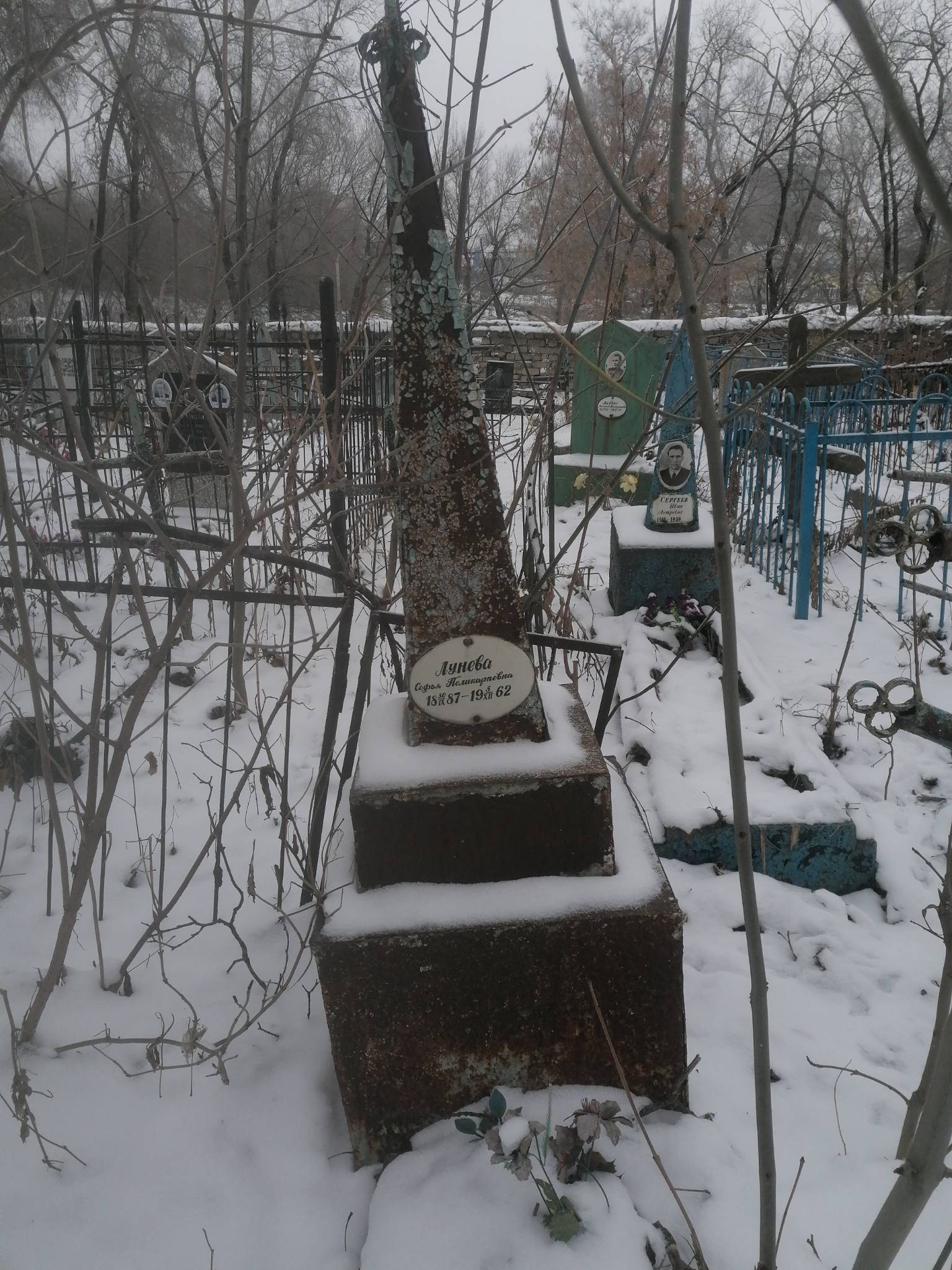Лунева Софья Поликарповна