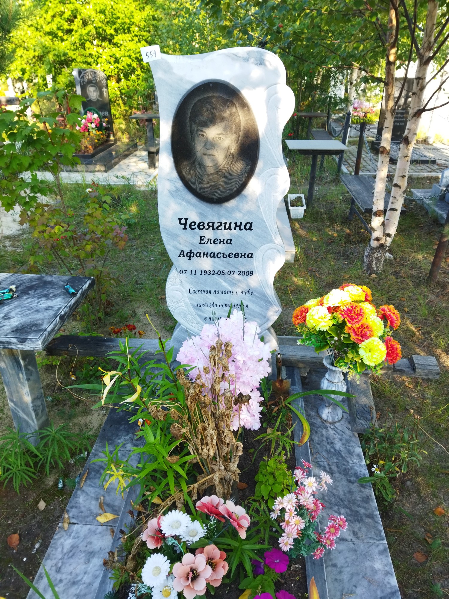 Чевягина Елена Афанасьевна