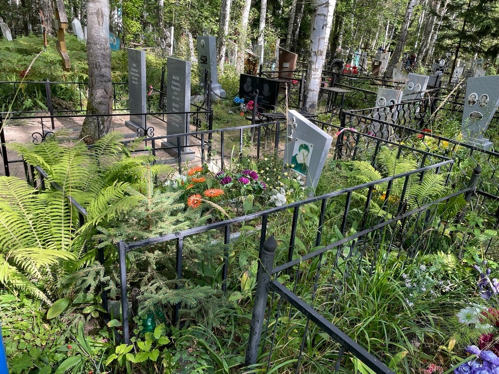 Марахов Александр Владимирович