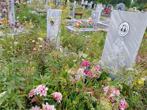 Севрюгина Пелагея Николаевна
