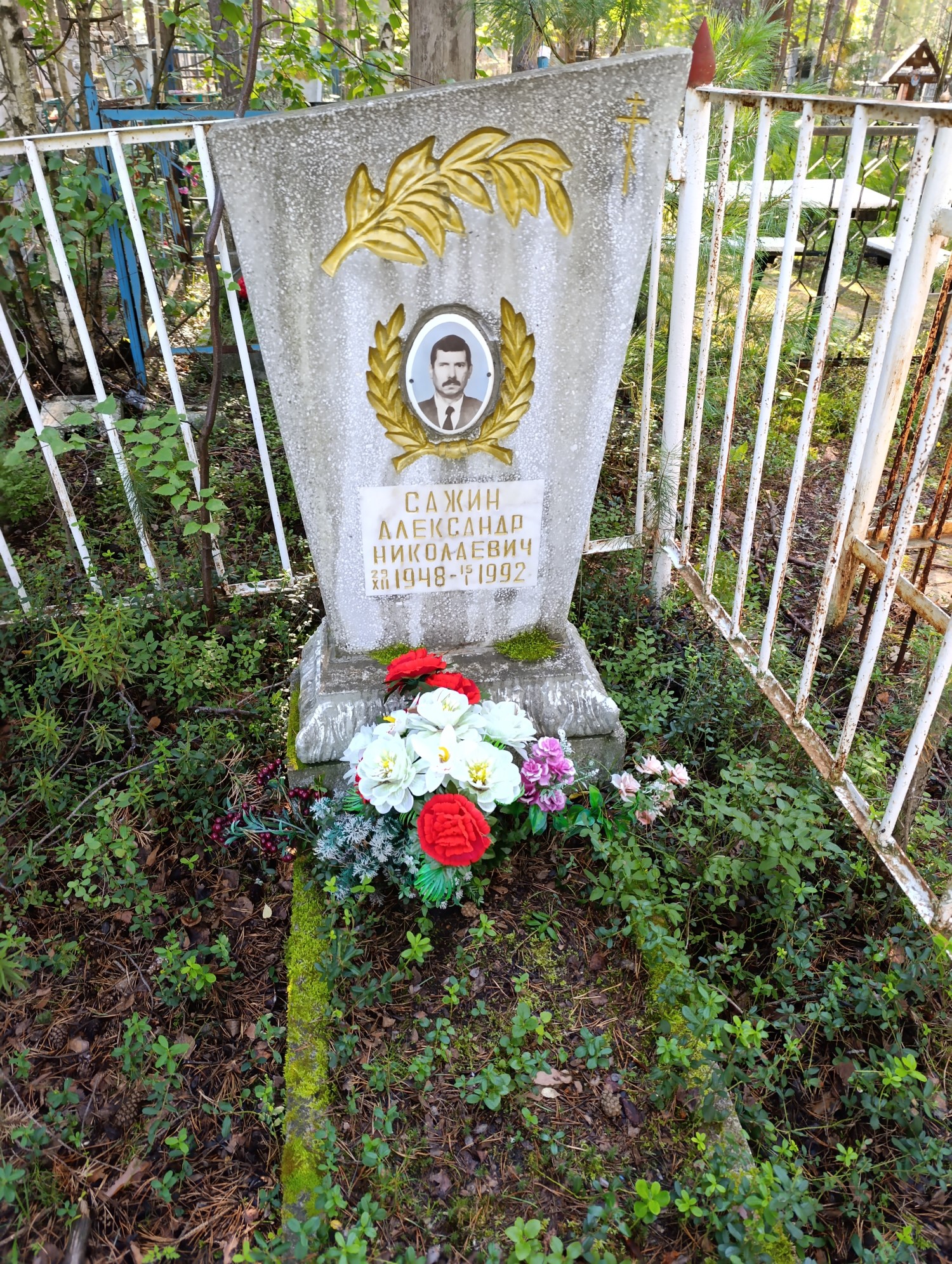 Сажин Александр Николаевич