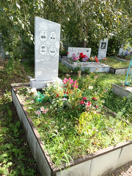 Ветошкин Александр Григорьевич