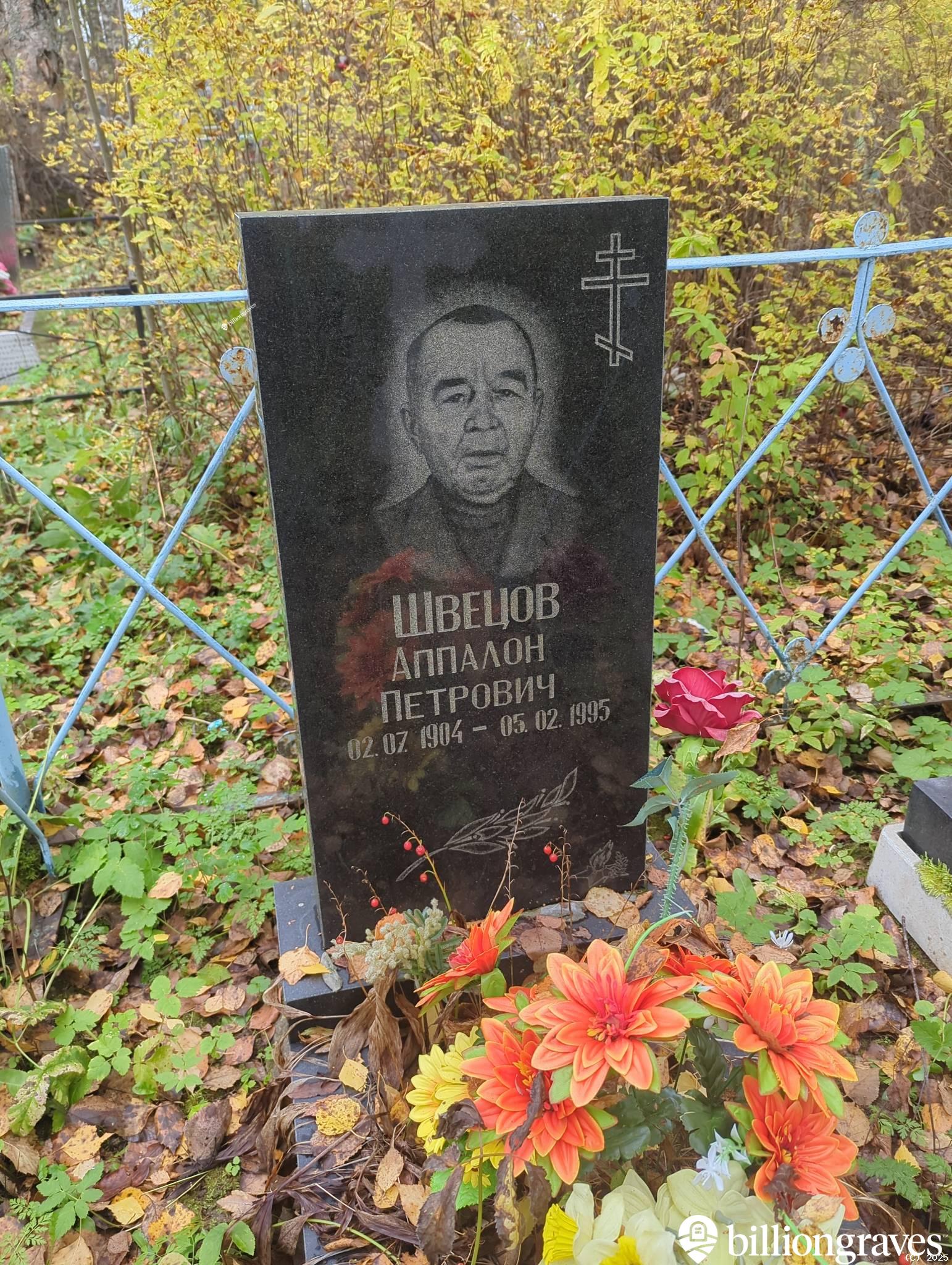 Швецов Аппалон Петрович