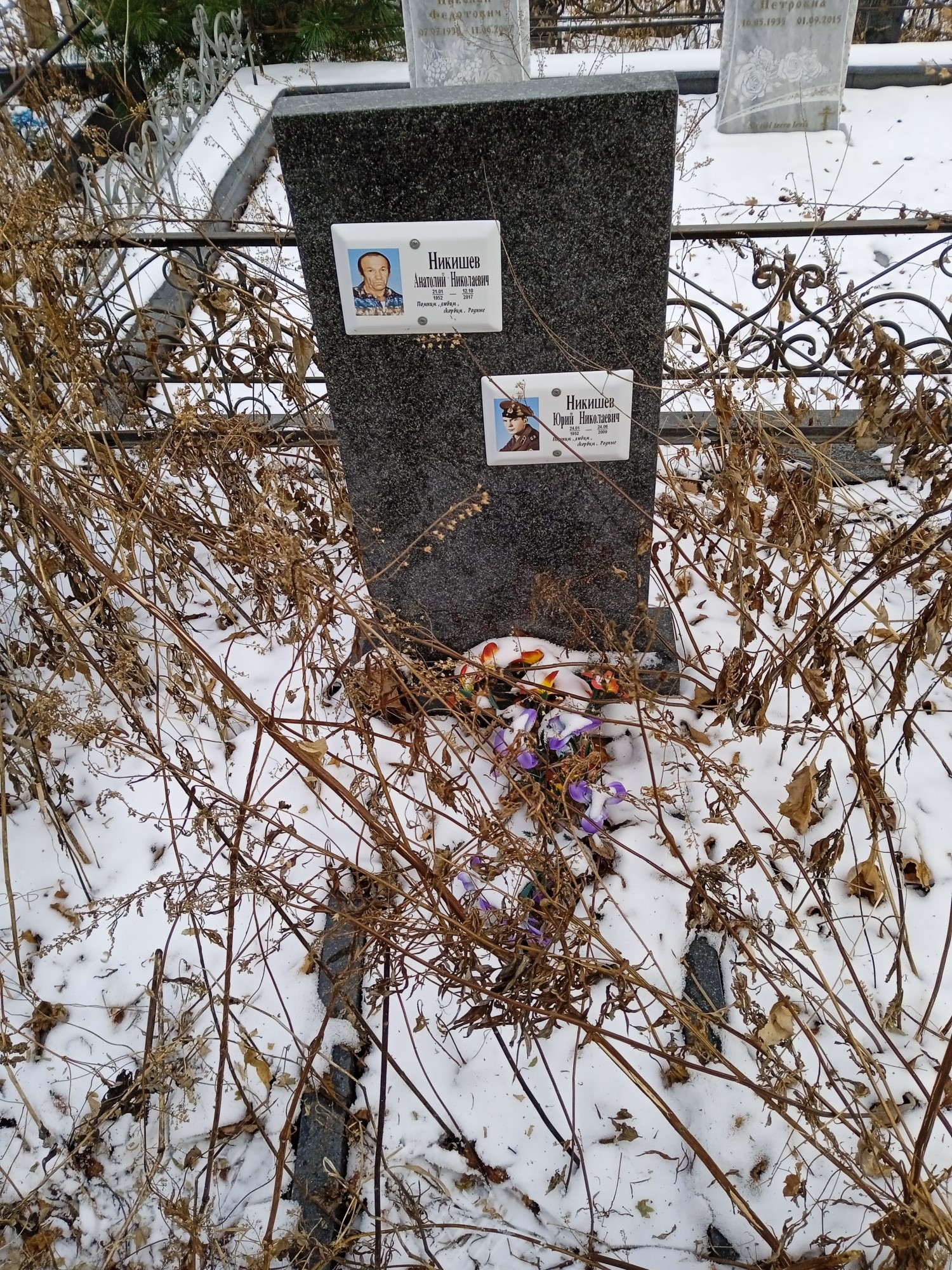 Никишев Анатолий Николаевич