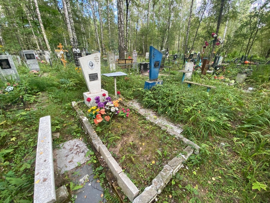 Сорокина Наталья Григорьевна
