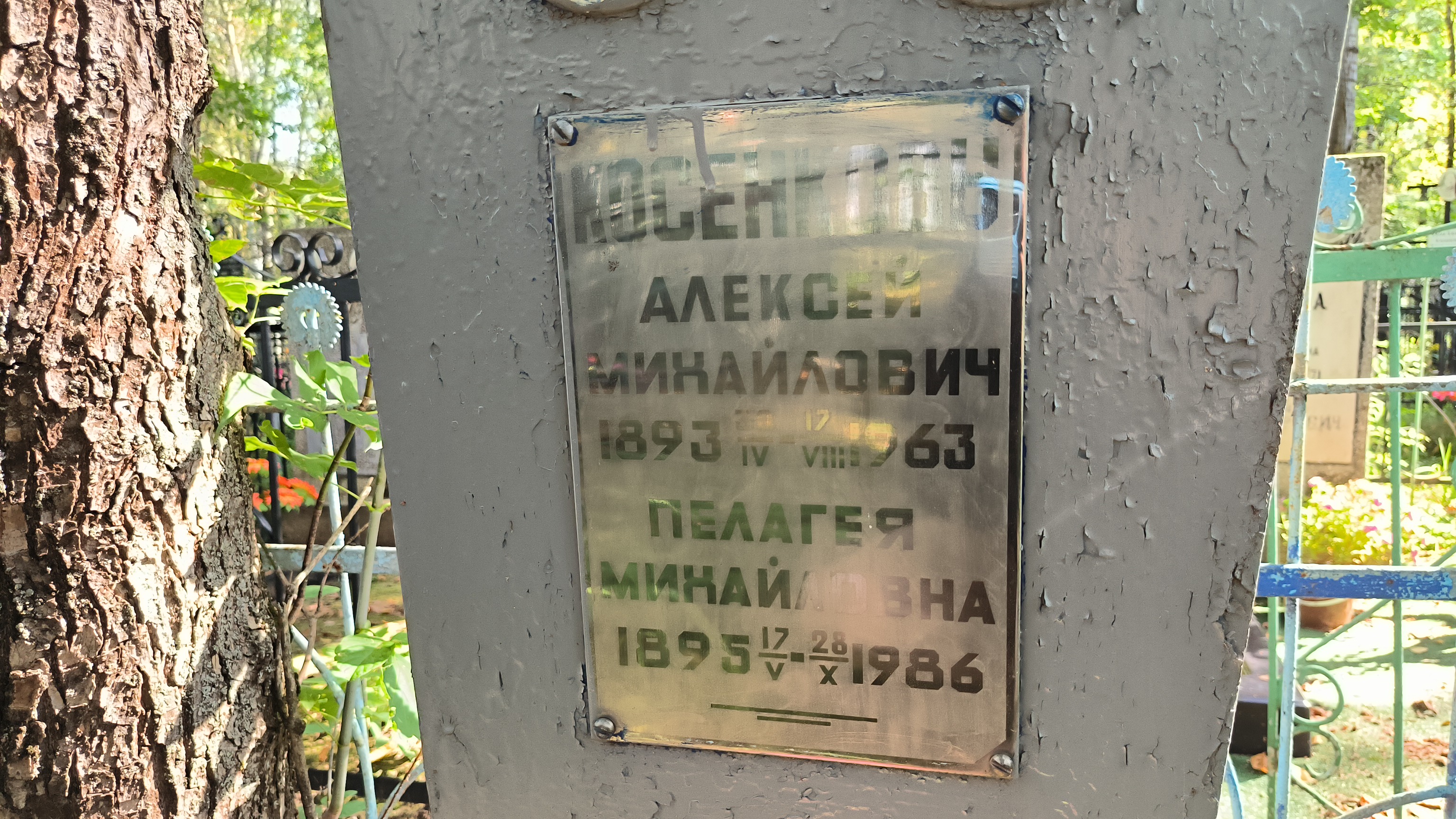Косенкова Пелагея Михайловна