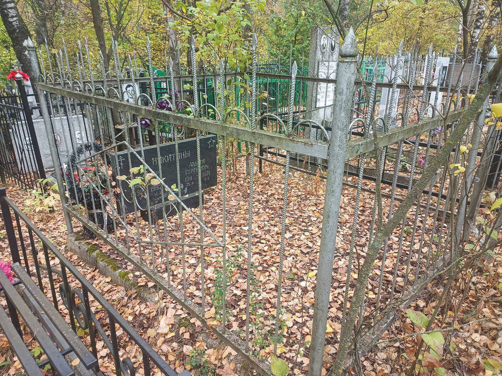 Никитин Андрей Сергеевич