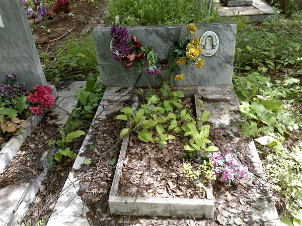Ледоховский Александр Андреевич