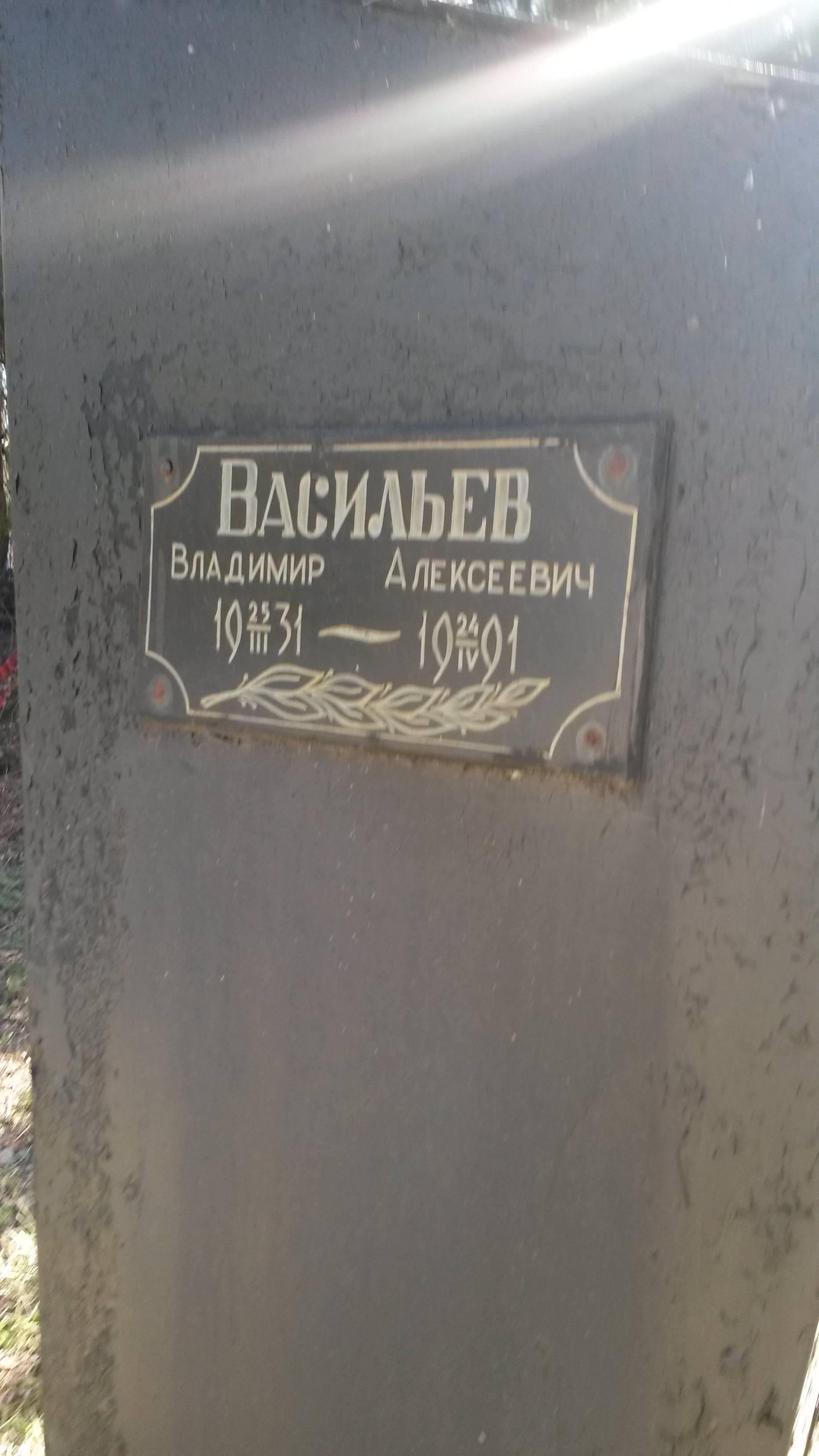 Васильев Владимир Алексеевич