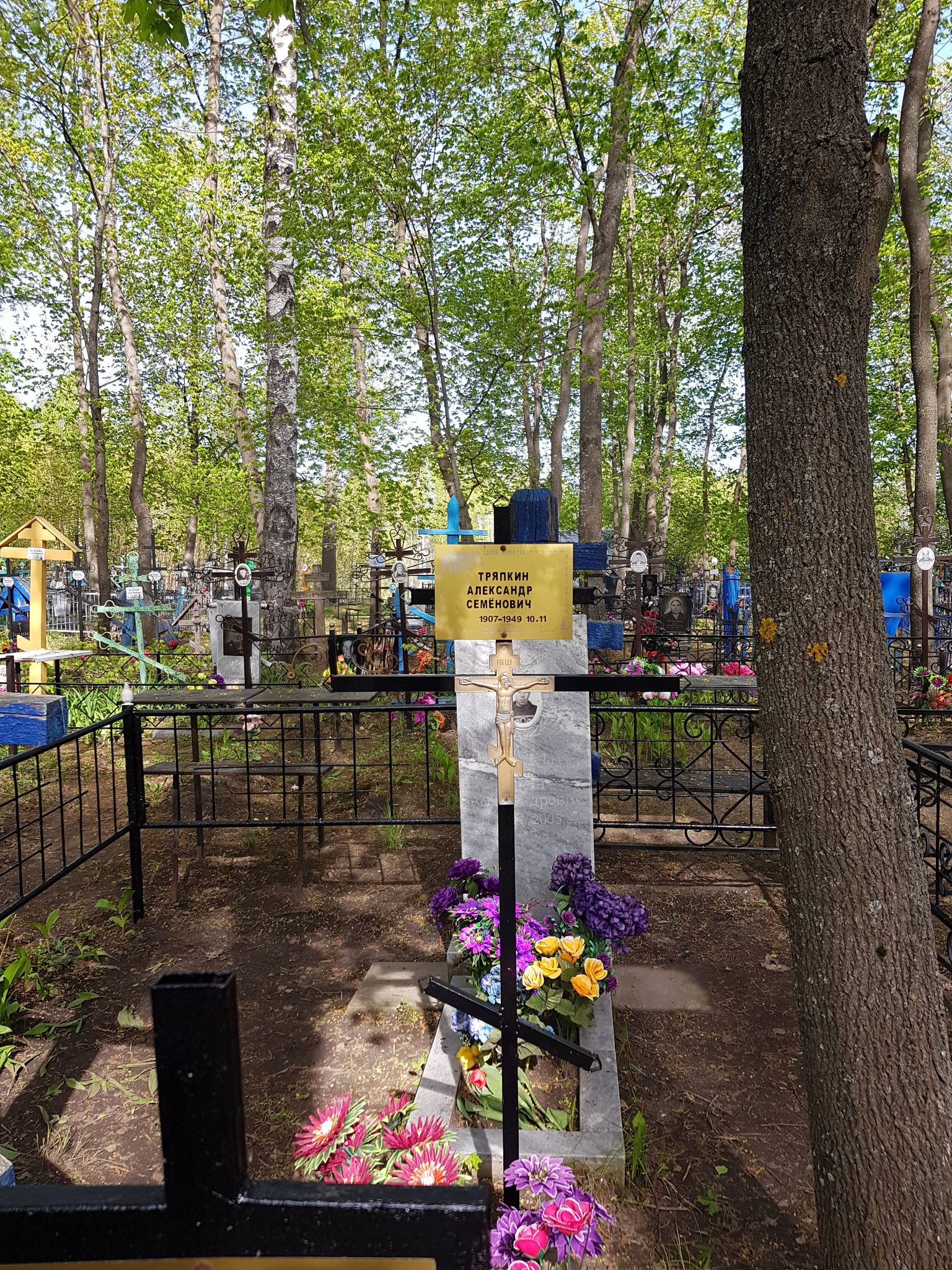 Тряпкин Александр Семёнович