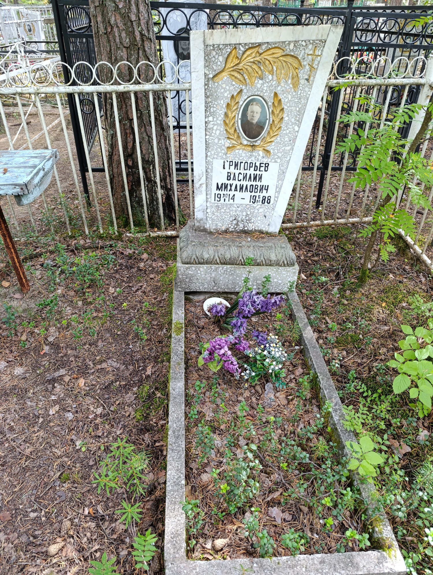 Григорьев Василий Михайлович