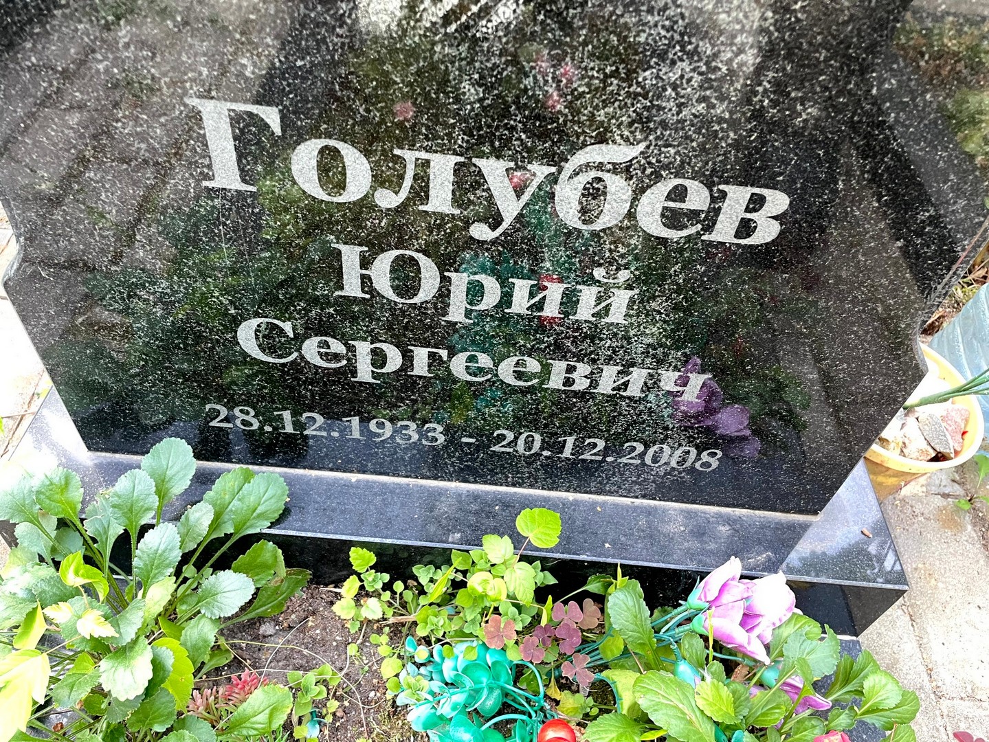 Голубев