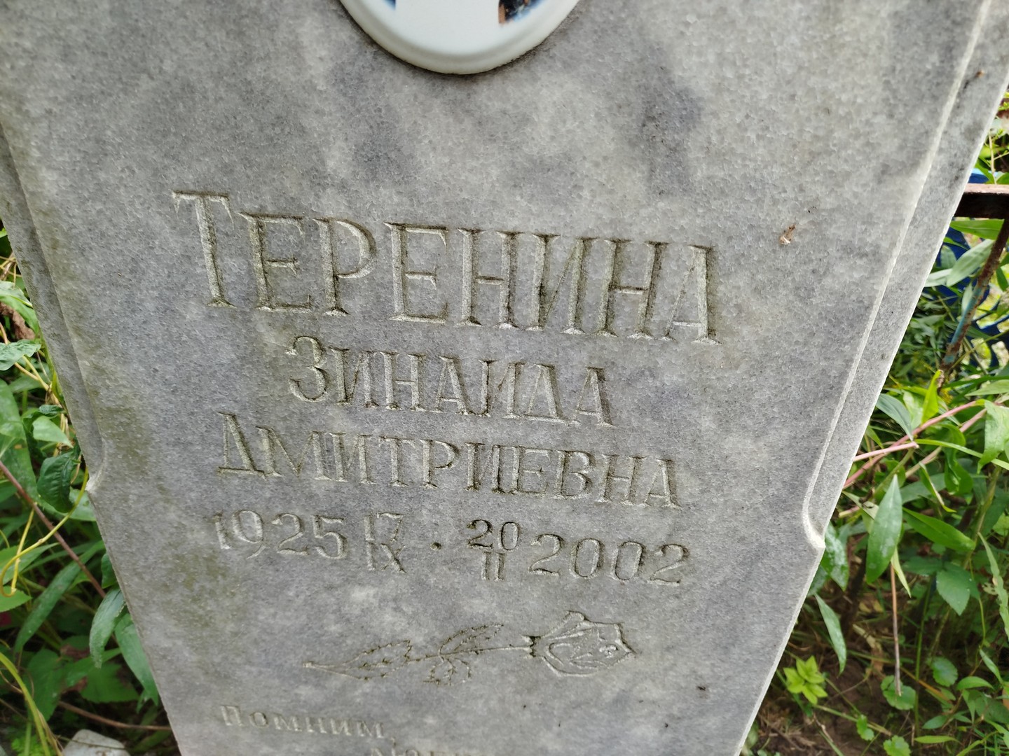 Теренина
