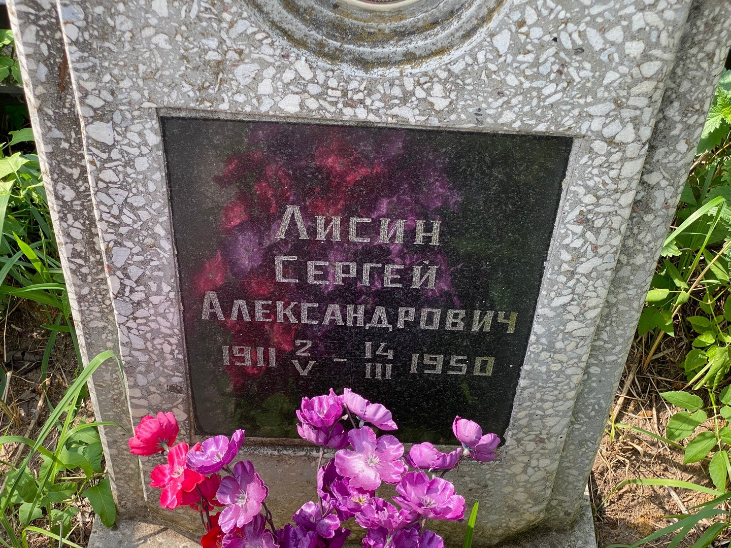 Лисин